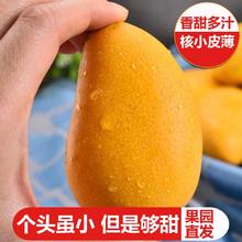 百亿补贴：果味蜀乡 彩箱海南小台芒