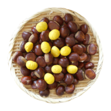 京百味河北农特产 迁西新鲜板栗1.5kg 生油栗子  多种包装随机