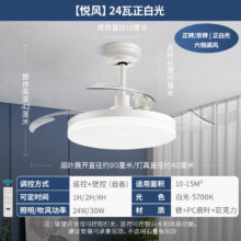 雷士照明(NVC)吊扇灯客厅餐厅家用风扇吊灯简约现代电扇灯具遥控变频隐形风扇灯