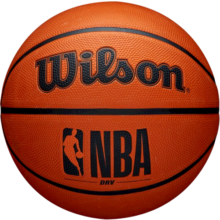 威尔胜（Wilson） NBA城市队徽NCAA室外耐磨橡胶户外训练篮球 【NBA】WTB9300IB07CN-7号