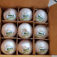 冰茜 海南 去皮椰青 9个大果（单果900g＋)