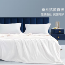 PLUS会员！BLISS 百丽丝 100%蚕丝抗菌夏凉被 200cm×230cm