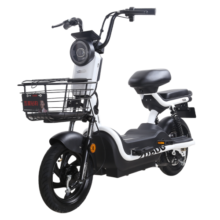 五星钻豹电动车 新国标48V20AH电瓶车小型外卖代步轻便电动自行车 A7PLUS 星辰白