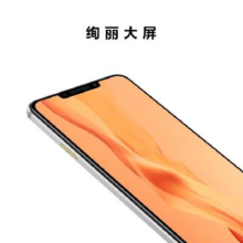 京东百亿补贴:华为畅享 60X 7000mAh长续航 6.95英寸 影音大屏 128GB 皓月银