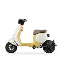 Ninebot 九号 Q90 新国标电动车