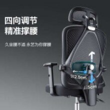 PLUS会员、京东百亿补贴：永艺 撑腰椅M60人体工学椅黑框黑网-升降扶手 网布