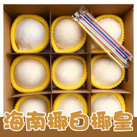 佳宝臣 VEYBOUSON 海南牛奶椰皇 9个装