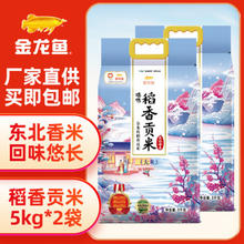 金龙鱼 东北大米 臻选稻香贡米 5KG 2袋