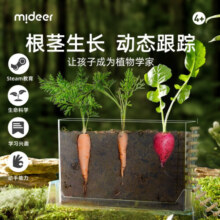 弥鹿（MiDeer）阳光房种植玩具小盆栽儿童小学生幼儿园植物观察窗六一儿童节礼物 【经典款】植物冲冲冲