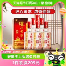 泸州老窖 六年窖头曲52度500mL*6瓶整箱装浓香型高度白酒过年送礼