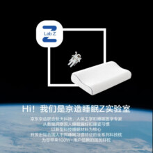 京东京造 升级2代科技记忆枕 抗菌护颈睡觉专用航天记忆棉慢回弹颈椎枕头