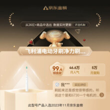 飞利浦（PHILIPS）电动牙刷成人 情侣款生日礼物送男友/女友 入门款 2种模式 洁齿护龈 净力刷 冰川白