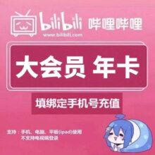 哔哩哔哩大会员 12个月