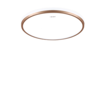 三雄极光三雄极光 led吸顶灯卧室灯阳台灯北欧简约圆形灯饰灯具 香槟金48W 无极调光