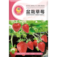 凤鸣雅世 草莓种籽 四季家庭阳台春季秋冬季菜种子 盆栽草莓种子500粒