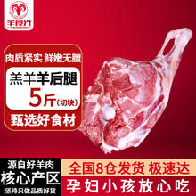 百亿补贴：YASEEGO 羊食光 乳羔羊羊后腿5斤切块新鲜生羊肉冷冻烤羊腿烧烤火锅食材
