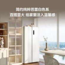 TCL 63CM超薄嵌入 551升 双开门冰箱 一级能效 风冷无霜R551T5-S