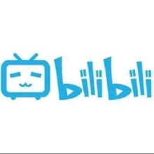 bilibili 哔哩哔哩 电视大会员年卡12个月