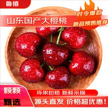 鲁禧 山东大樱桃 新鲜时令生鲜 5斤整箱 约22-26mm