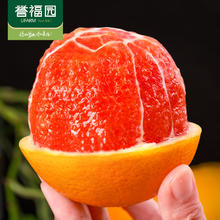 誉福园中华红血橙5斤装新鲜应季新鲜水果酸甜多汁12枚手提礼盒