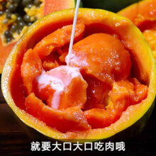 鲜宝道 红心木瓜 9斤