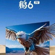 plus会员：FFALCON雷鸟 鹏6 24款 电视机75英寸 120Hz动态加速 高色域 3+64GB 液晶平板电视