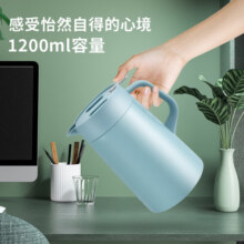 虎牌（TIGER） 保温壶暖壶水壶热水瓶家用办公便携式保温瓶PWO-A12C 1.2L 水蓝色AC 1.2L