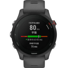 GARMIN 佳明 Forerunner 255 运动手表 神秘灰 45.6mm