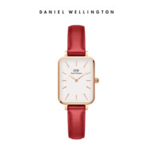丹尼尔惠灵顿（DanielWellington）DW手表女复古皮带女士腕表欧美表生日礼物DW00100454