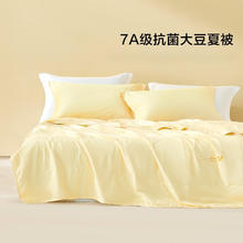 春焕新、家装季：BLISS 百丽丝 大豆抗菌夏被 升级A类 200*230cm