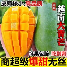 【官补到手!】5斤正宗越南大青芒