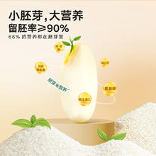宝宝馋了 有机大米吃的胚芽米营养粥谷物送儿童婴儿幼儿辅食谱