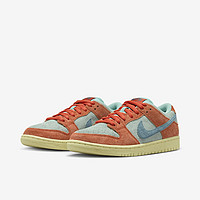 NIKE 耐克 Dunk SB Low 男女款低帮运动板鞋 DV5429-800