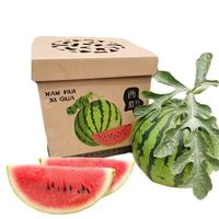 美都麒麟西瓜 7斤装 （1个装）不用券实付