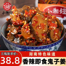 小湘好瓶装香辣脆洋姜片湖南特产鬼子姜下饭菜甜姜咸菜香辣椒酱菜生姜 香辣洋姜248g*2瓶