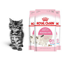 ROYAL CANIN 皇家 BK34离乳期幼猫奶糕 2kg