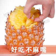 风之郁 海南手撕 凤梨 9斤装