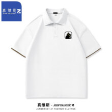 PLUS会员：JEANSWEST 真维斯 男士翻领polo衫 短袖t恤 2件 多款可选