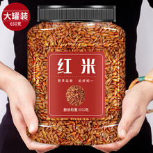 草世医 农家红大米主食长粒黑龙江优质新货东北自产红米五谷杂粮红米