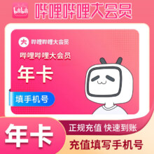 哔哩哔哩大会员1年（支持电视）