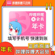 B站大会员12个月 bilibili会员