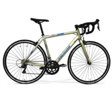 预售15-19号：美利達（MERIDA）SHADOW幻影2  16速 公路自行车 丽黑 700*50CM