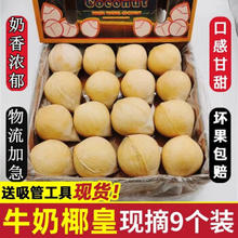 佳宝臣 VEYBOUSON 海南牛奶椰皇 9个装