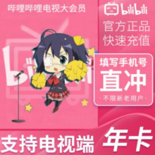 bilibili 哔哩哔哩 电视大会员年卡12个月
