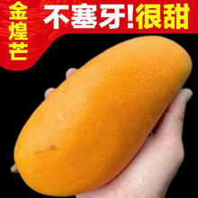 鼎鲜满 海南三亚金煌芒果整箱 金煌芒4.5斤拍两件合并发9斤 50件秒杀特大果