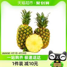 鲜蜂队 菲律宾黑钻凤梨甜菠萝5斤2颗 单果1kg+应当季新鲜水果整箱包邮
