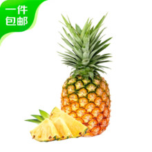 京鲜生 凤梨哥 国产金钻凤梨 净重1.5kg 单果500g+ 源头直发