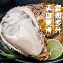 特大号！产地直发！正宗 乳山生蚝！5XL 5.5斤 （带官方溯源防伪标识、死蚝包赔)