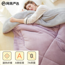 网易严选A类牛奶绒纤维被 冬被2700g 200*230cm紫色