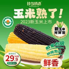 珍谷诱惑 23年新玉米 东北有机糯玉米 鲜食糯玉米棒200g/支 真空玉米 混10 433